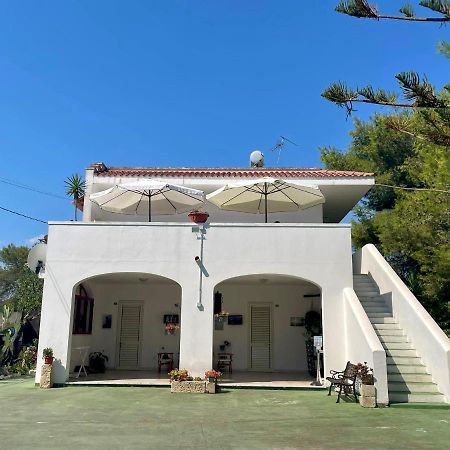 トッレ・デル・オルソ Smit House Bed & Breakfast エクステリア 写真