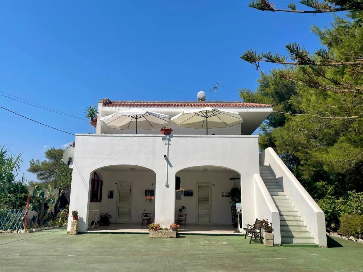 トッレ・デル・オルソ Smit House Bed & Breakfast エクステリア 写真